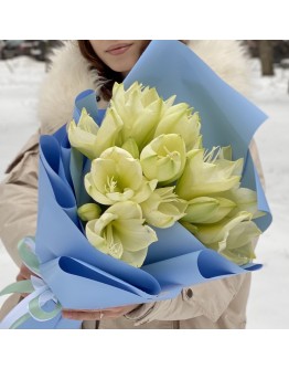 Букет из пяти амариллисов