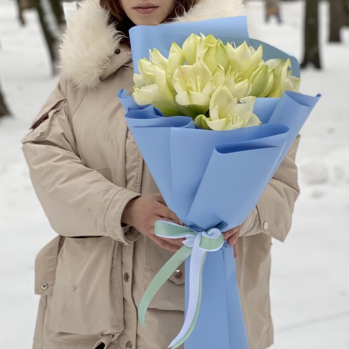 Букет из пяти амариллисов