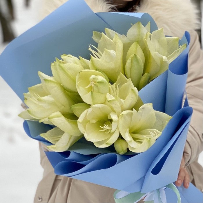 Букет из пяти амариллисов