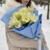 Букет из пяти амариллисов