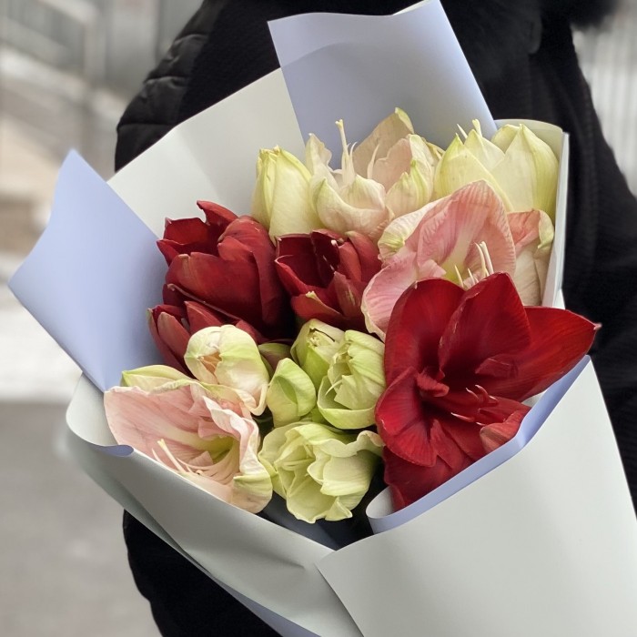 Букет из семи амарилисов