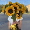 Монобукет из подсолнухов
