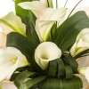 Каллы - букет