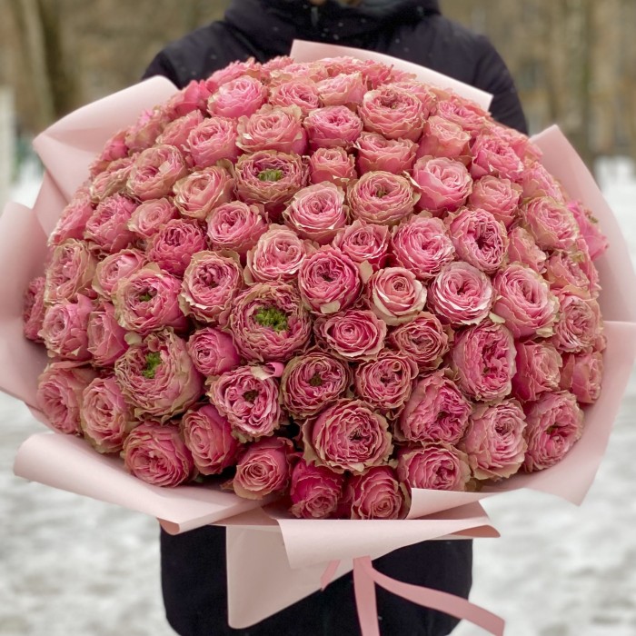 101 розовая пионовидная роза Белиз