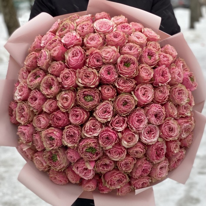 101 розовая пионовидная роза Белиз