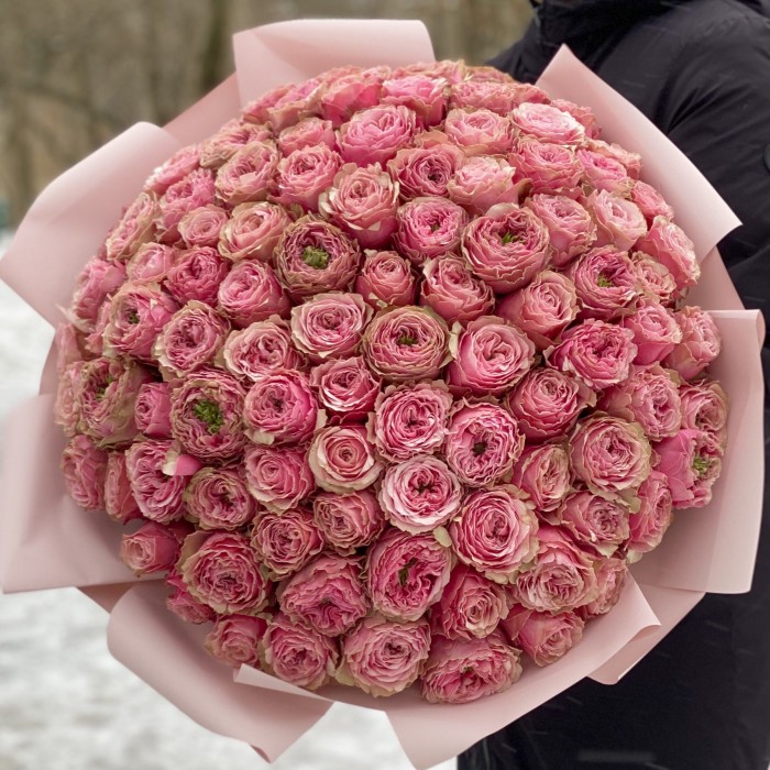 101 розовая пионовидная роза Белиз