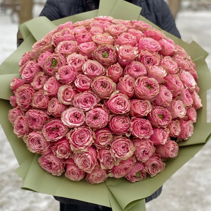 101 розовая пионовидная роза Белиз