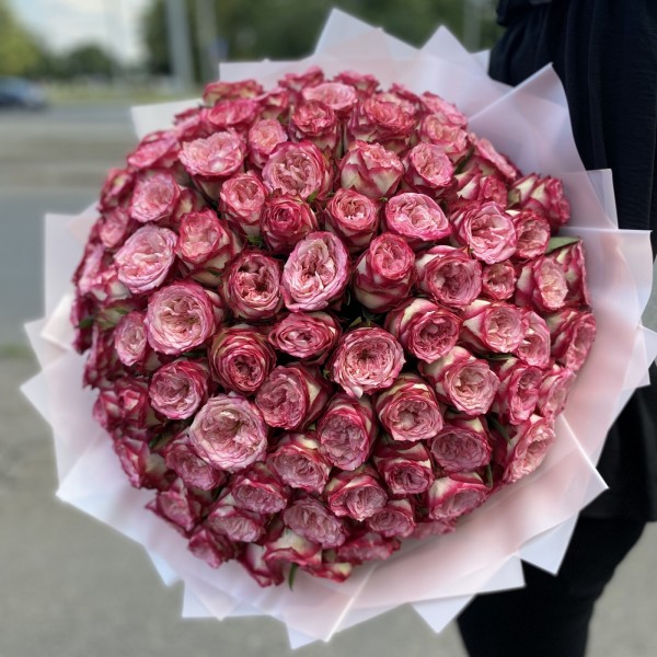 101 пионовидная роза Глендора