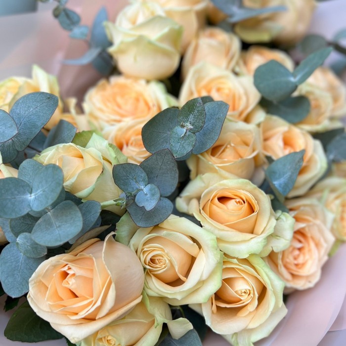 25 роз Пич Аваланж с эвкалиптом