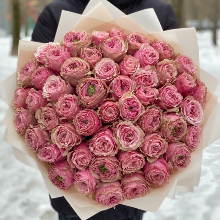 51 пионовидная роза Белиз