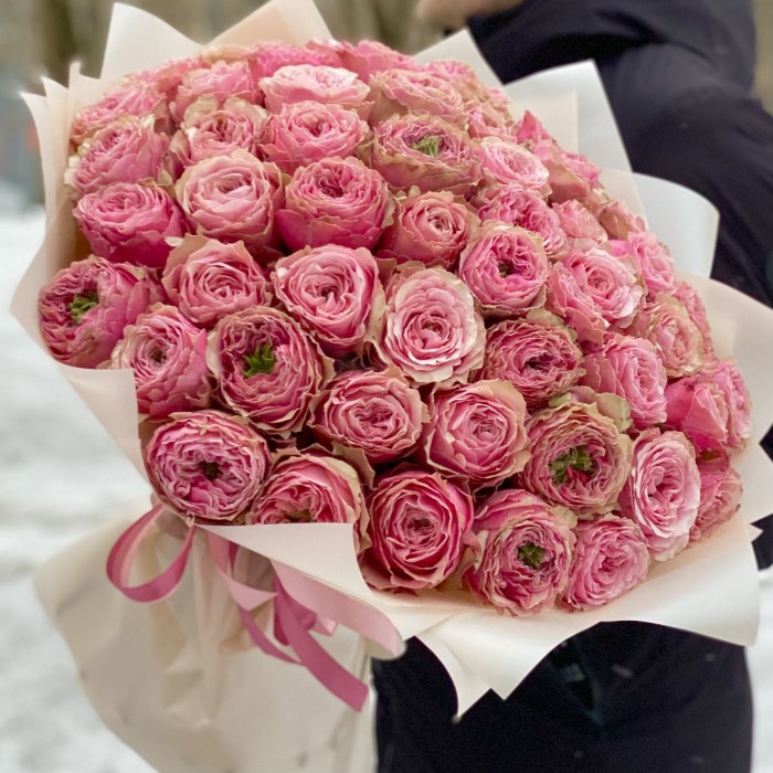 51 пионовидная роза Белиз