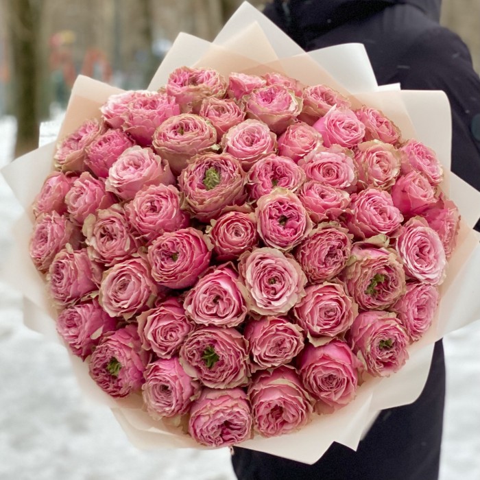 51 пионовидная роза Белиз