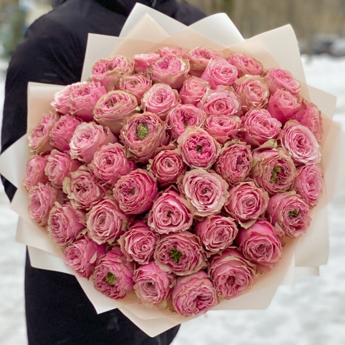 51 пионовидная роза Белиз