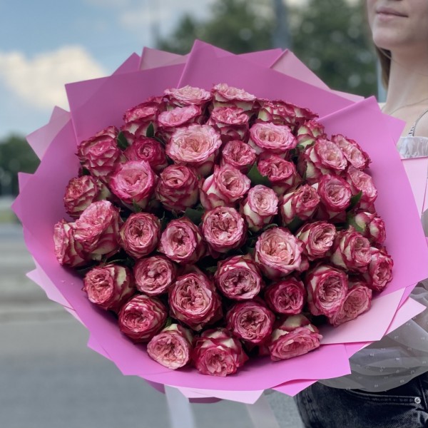 51 пионовидная малиновая роза Глендора