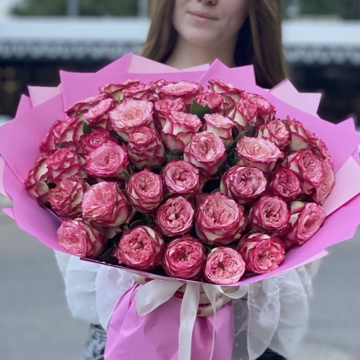 51 пионовидная малиновая роза Глендора