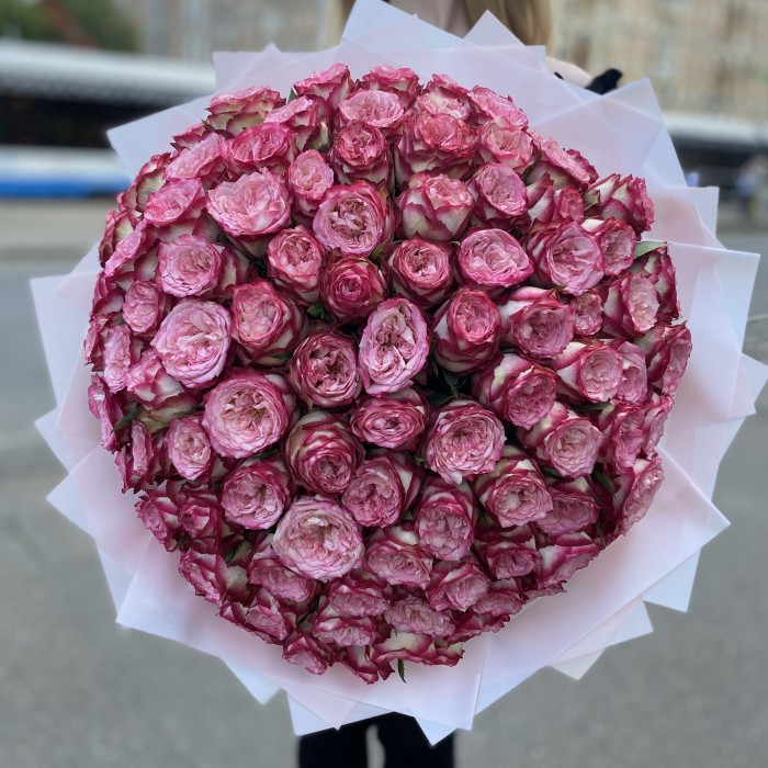 101 пионовидная роза Глендора