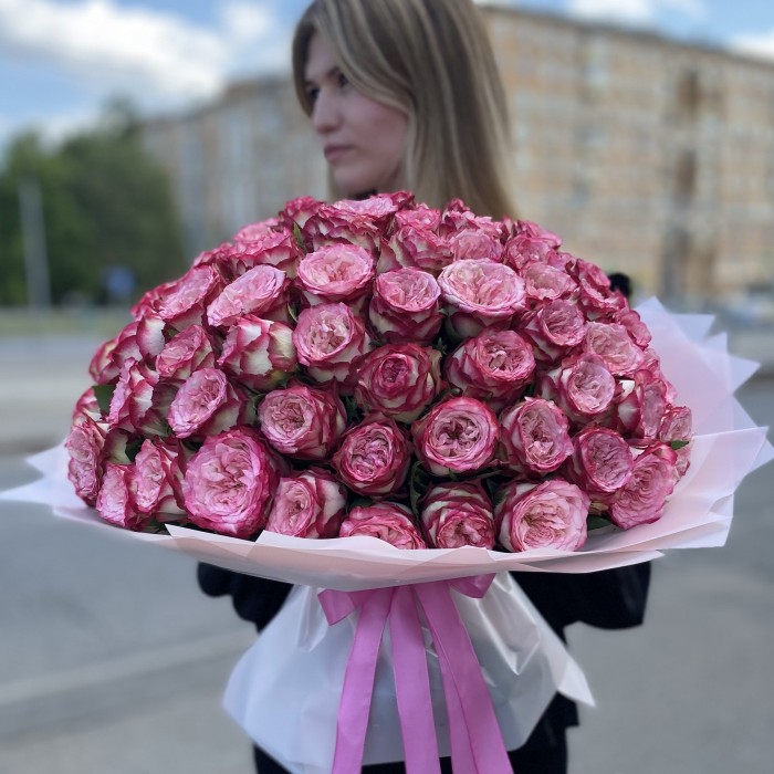 101 пионовидная роза Глендора