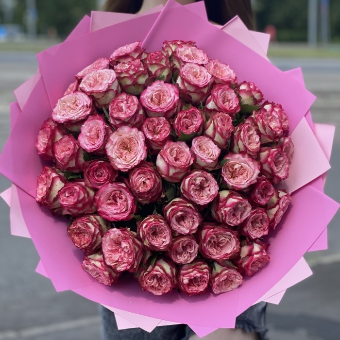 51 пионовидная малиновая роза Глендора