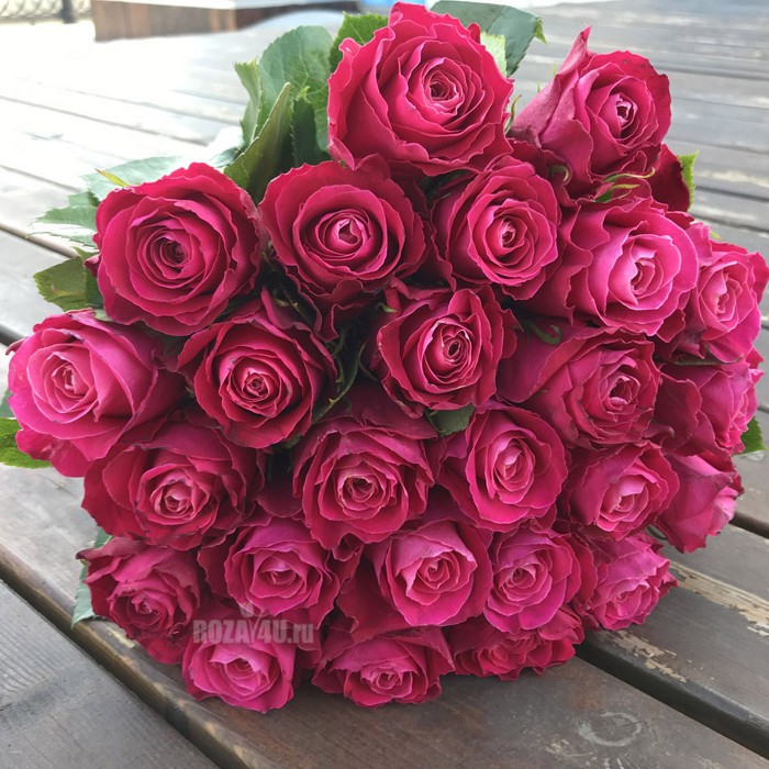 25 Малиновых роз Муви Стар 40 см