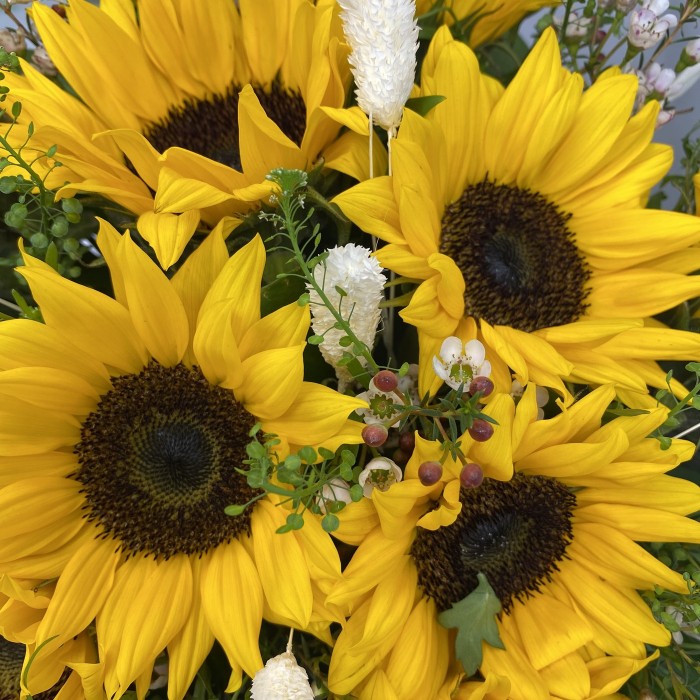 Подсолнухи в шляпной коробке