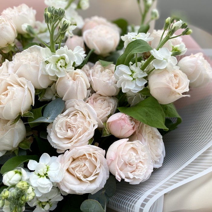 Приятная встреча