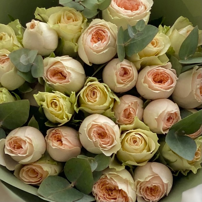 Букет из нежных кремовых и  пионовидных роз с эвкалиптом