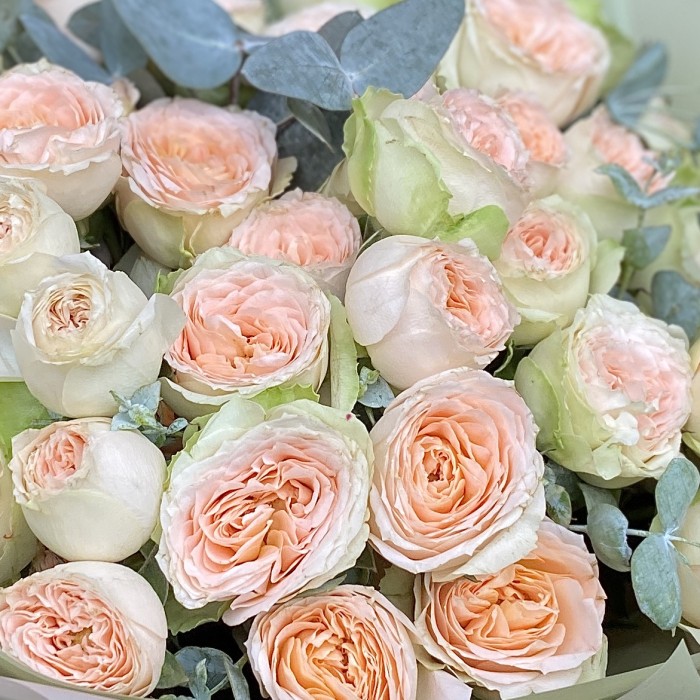 Букет из пионовидных роз с эвкалиптом