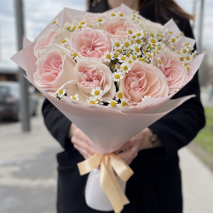 Пионовидные розы Принц Жардиньер с ромашками