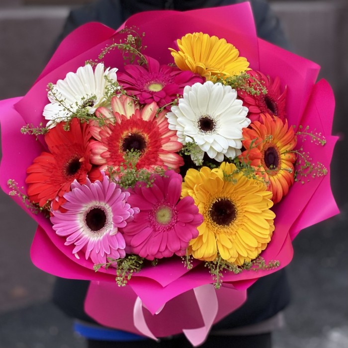 11 гербер микс с гринбелом