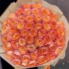 51 огненная роза Фри Спирит