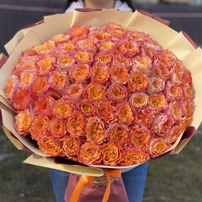 75 огненная роза Фри Спирит