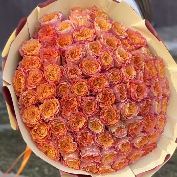 75 огненная роза Фри Спирит