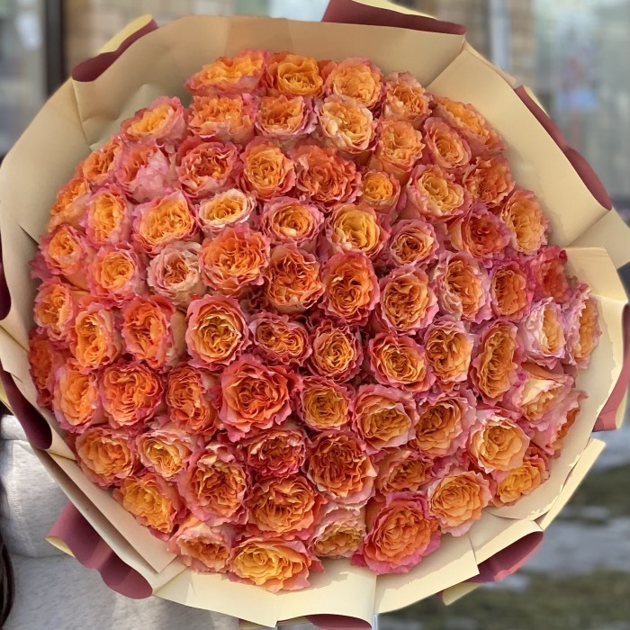 75 огненная роза Фри Спирит