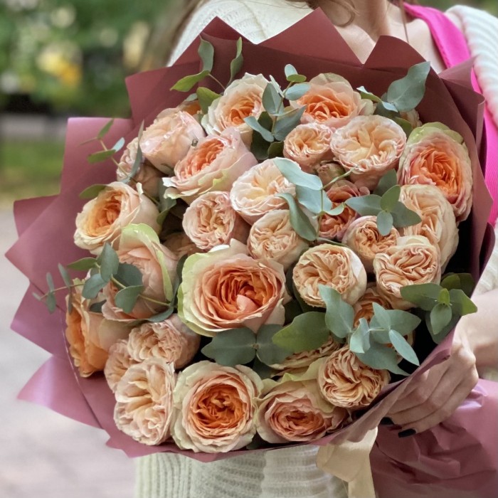 Дуэт из пионовидных роз Гравити и Джентл Трендсеттер