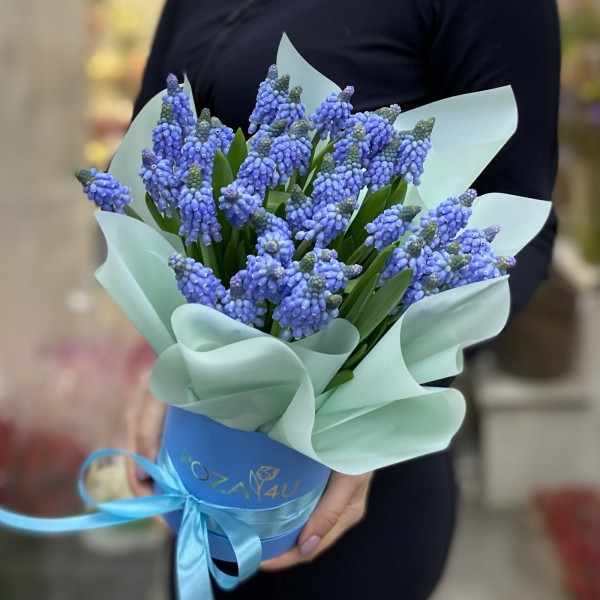 Мускари в коробке