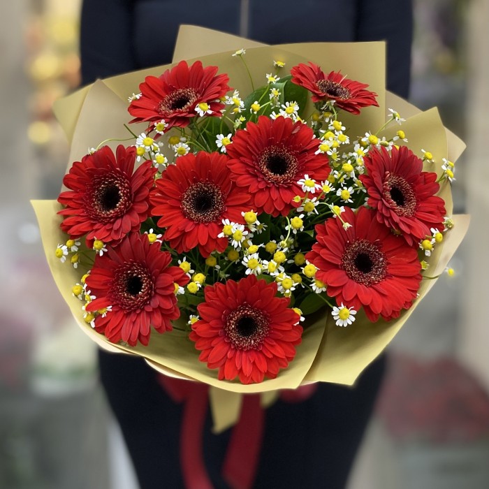 9 красных гербер с танацетумом