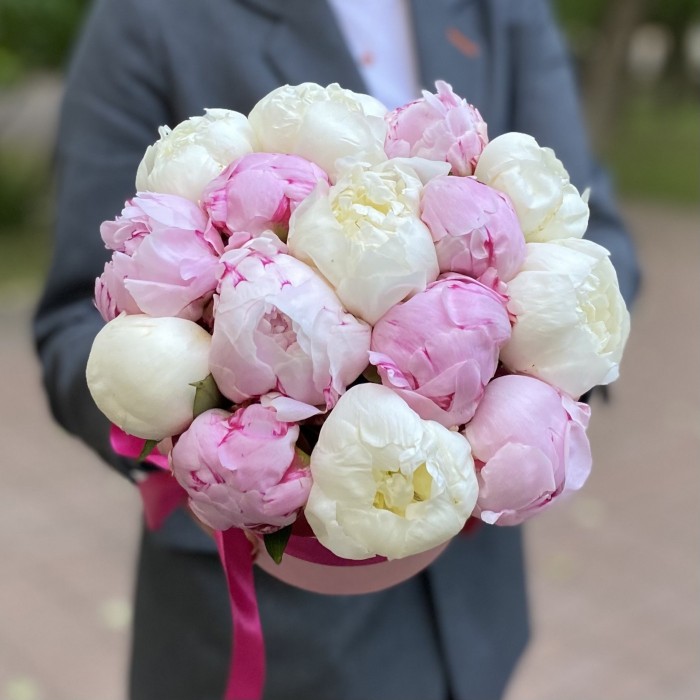 Букет из 15 розовых и белых пионов в коробке
