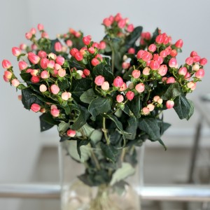 Букет из 25 розового гиперикума