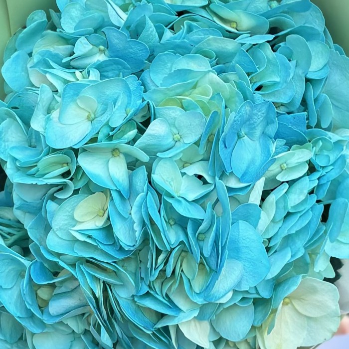 Букет с голубой гортензией