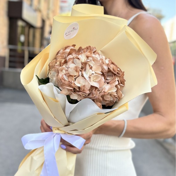 Букет с гортензией капучино