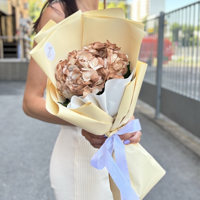 Букет с гортензией капучино