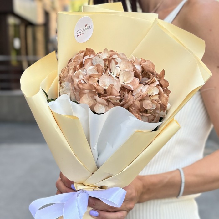 Букет с гортензией капучино