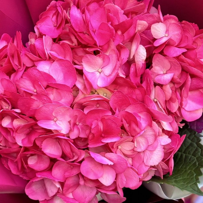Букет с малиновой гортензией