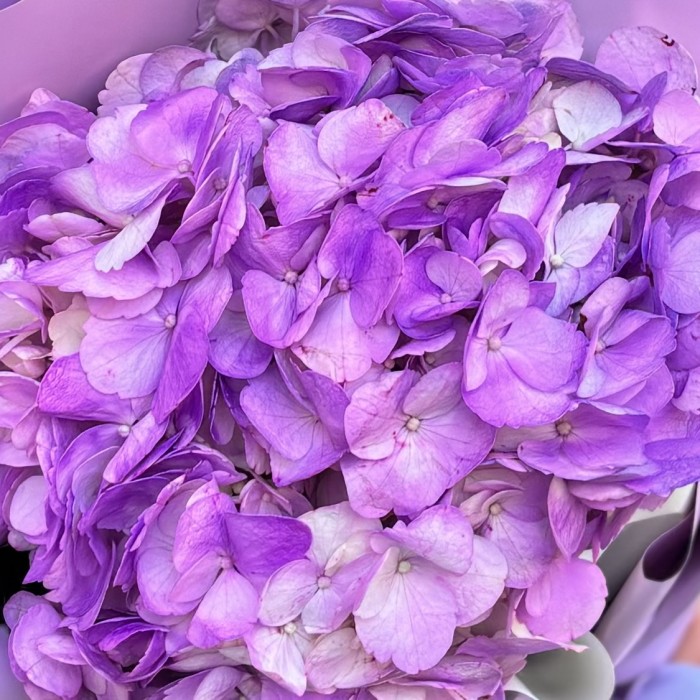 Букет с сиреневой гортензией