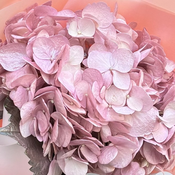 Букет с жемчужно-розовой гортензией