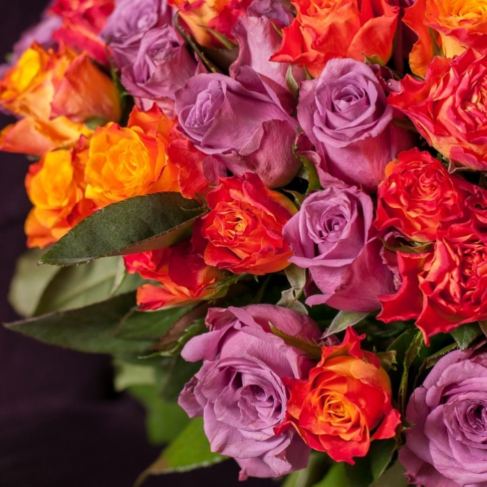 101 роза Маскарад