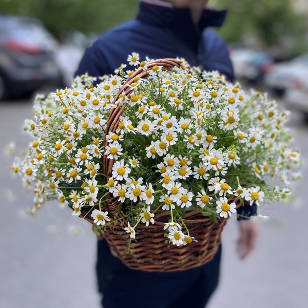Корзина ромашек