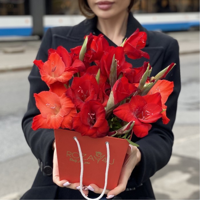 3 красных гладиолуса в коробочке