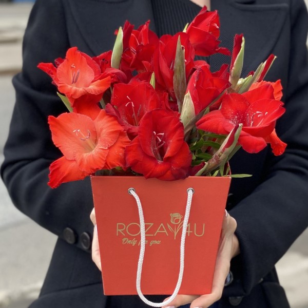 3 красных гладиолуса в коробочке