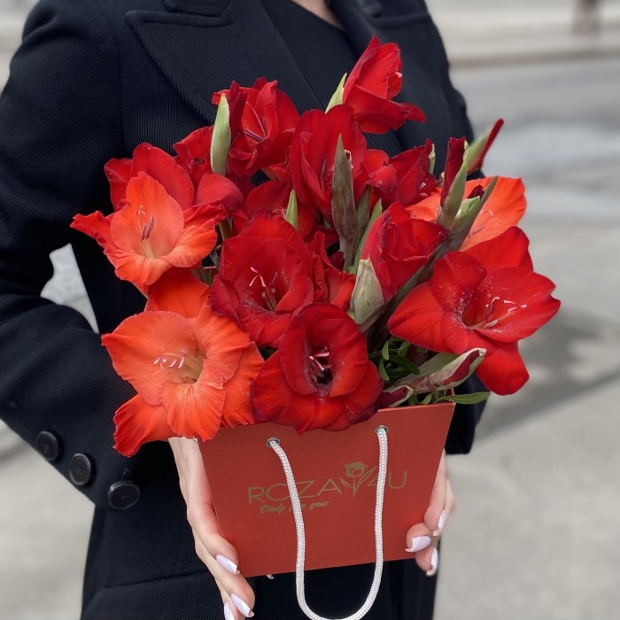 3 красных гладиолуса в коробочке